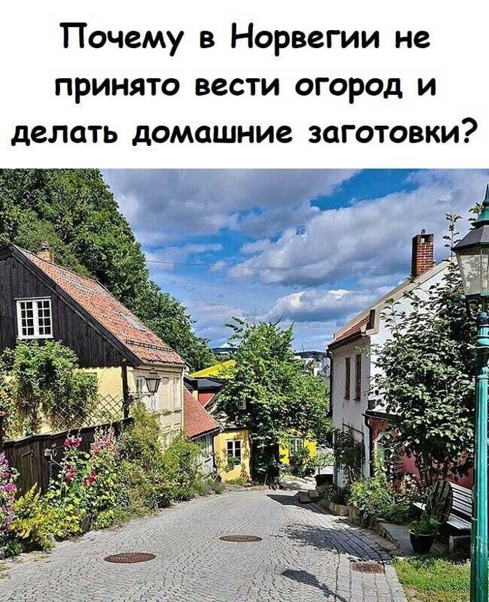 Дача vs. Хитта: как живут норвежцы и почему они не солят огурцы 🥒❌