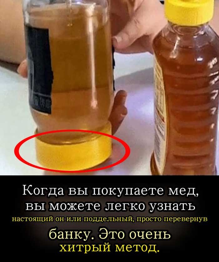 «5 простых способов проверить мед дома — №3 удивил даже пчеловодов!»